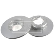 Borg & Beck 2 x Solid Rear Brake Discs BBD4812