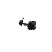 Delphi Control/Trailing Arm TC3646