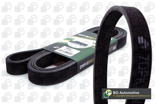 BGA Multi V-Ribbed Drive Belt