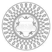 Borg & Beck 2 x Front Brake Discs BBD6066S