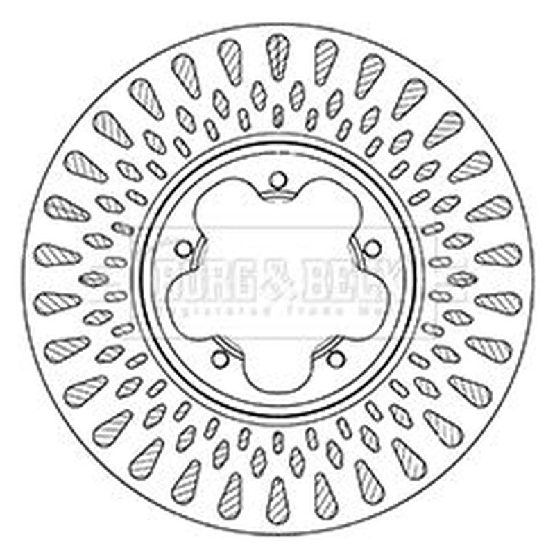 Borg & Beck 2 x Front Brake Discs BBD6066S