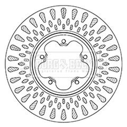 Borg & Beck 2 x Front Brake Discs BBD6066S