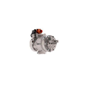 Mahle Air Conditioning Compressor ACP 1689 000P