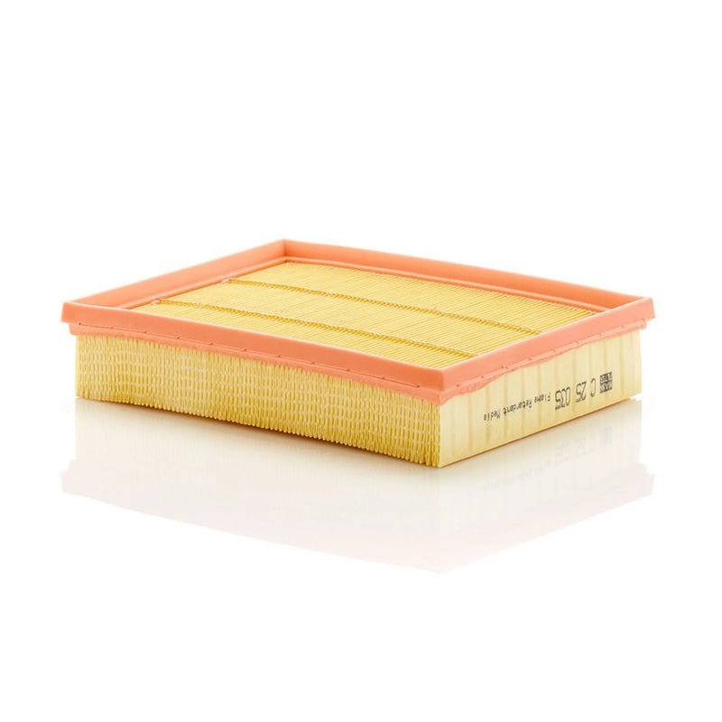MANN-FILTER Engine Air Filter C 25 035