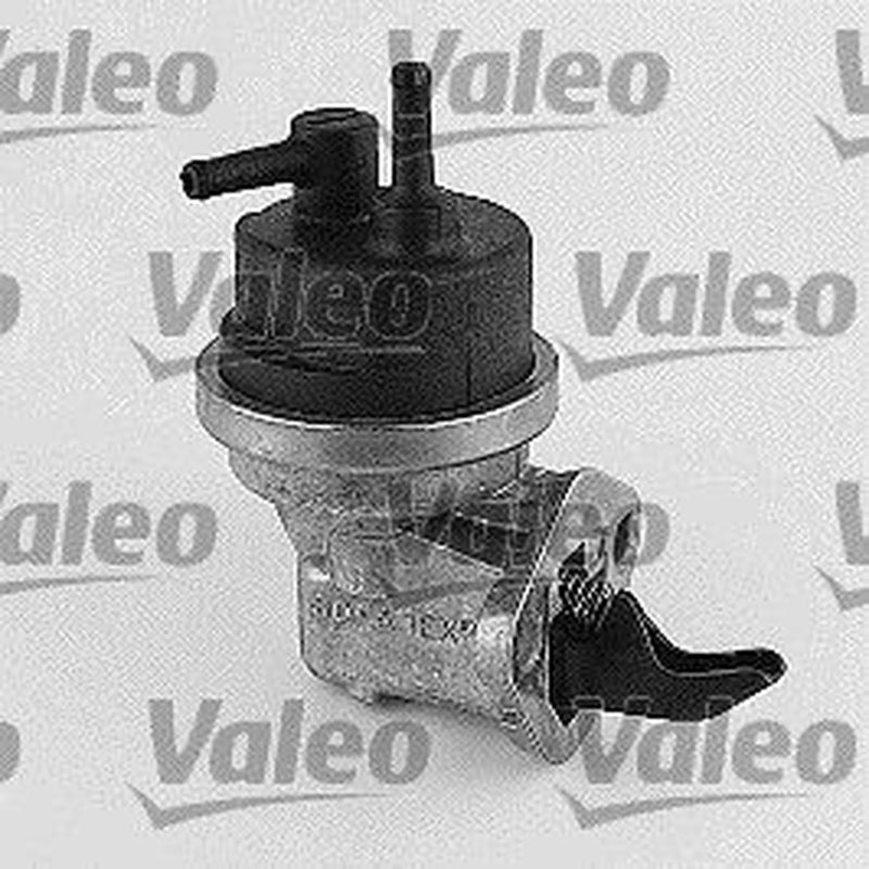 Valeo Fuel Pump Assembly 247077