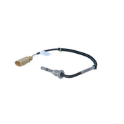 NRF Exhaust Gas Temperature Sensor after soot particulat 707275