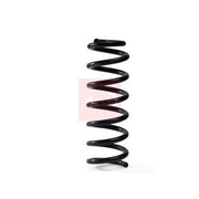 Apec 2 x Suspension Springs ACS2000