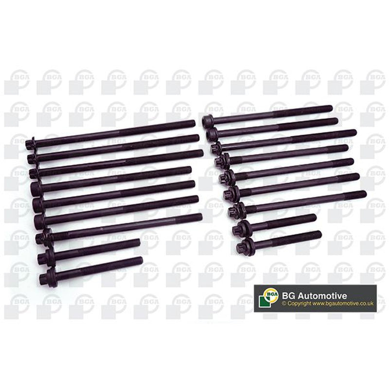 BGA Cylinder Head Bolt Set M11 BK5366