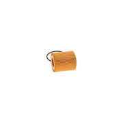 Bosch Engine Oil Filter F 026 407 299