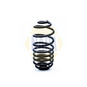 NAPA Rear Suspension Coil Spring NCS1250
