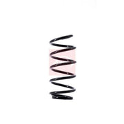 Apec Front Suspension Coil Spring ACS1531