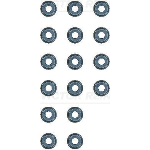 Victor Reinz Valve Stem Seal Set ID High 12-13109-01