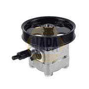 NAPA Power Steering Hydraulic Pump NPS1032