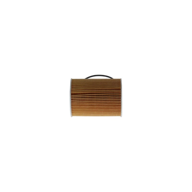 Bosch Engine Oil Filter F 026 407 255