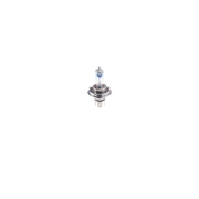 Bosch Automotive Bulb 1 987 301 136