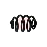 Apec Rear Suspension Coil Spring ACS1803