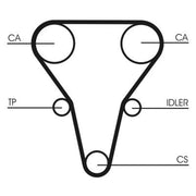 Continental CTAM Timing Belt Cambelt 137 Teeth CT1069