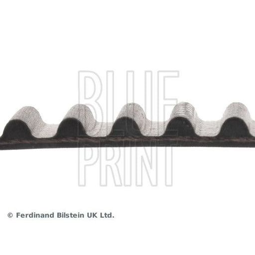 Blue Print Timing Belt Cambelt 92 Teeth ADC47519