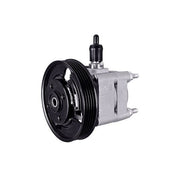 Hella Power Steering Hydraulic Pump 8TL 359 003-121