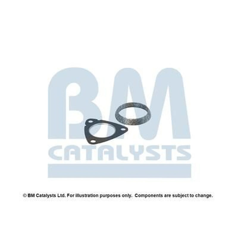 BM Catalysts Fitting Kit FK91159A FK91159A