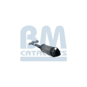 BM Catalysts Dpf BM11169