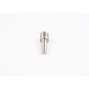 Bosch Diesel Injector Nozzle Tip 0 433 171 726