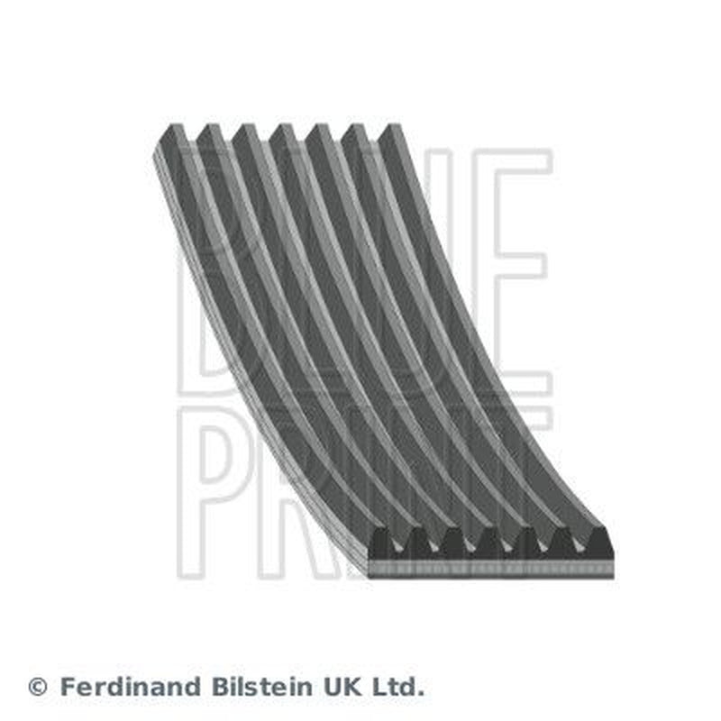 Blue Print Multi V-Ribbed Drive Belt AD07R1930