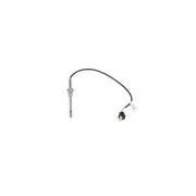 NRF Exhaust Gas Temperature Sensor before soot partic 707186