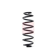 Apec 2 x Suspension Springs ACS1738