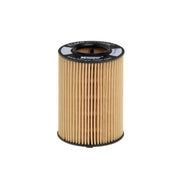 Hengst Engine Oil Filter E146H D108