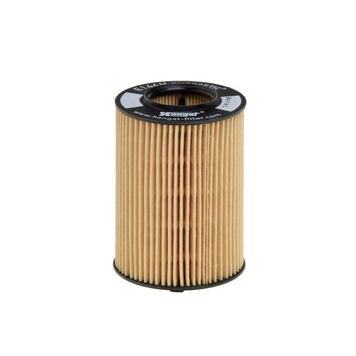 Hengst Engine Oil Filter E146H D108