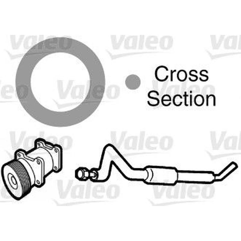 Valeo A/C O'Ring - Bag Per 20 509298 92470-N8210 509298