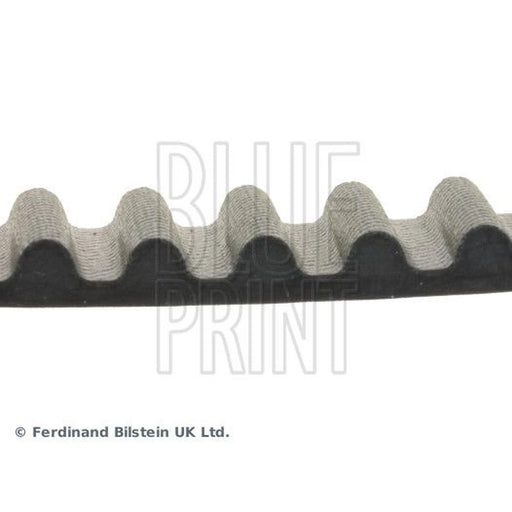 Blue Print Timing Belt Cambelt 125 Teeth ADM57522