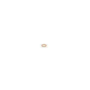 Bosch Sealing Ring Gasket 2 916 710 603
