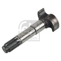 Febi Drum Brake Brake Shaft 103mm OD Left 174142