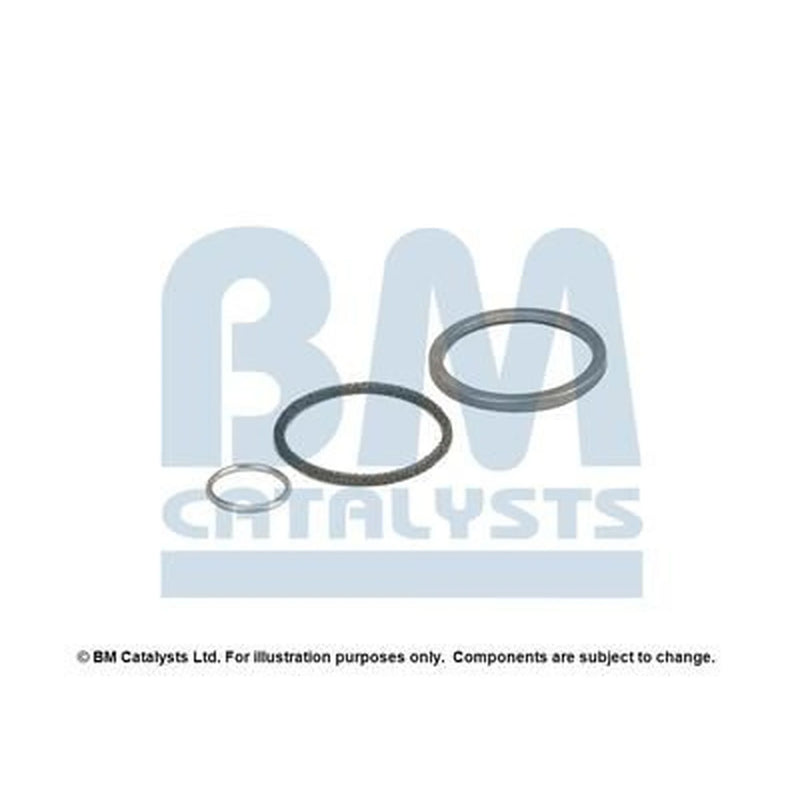 BM Catalysts Fitting Kit FK91066A FK91066A