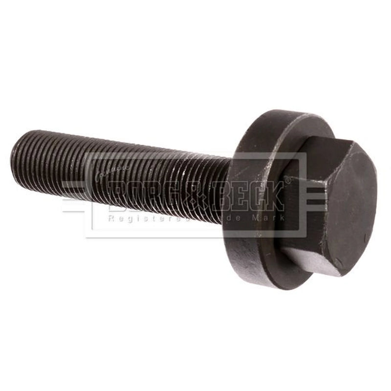 Borg & Beck Kingpin Nut OD Thick Front BHN221