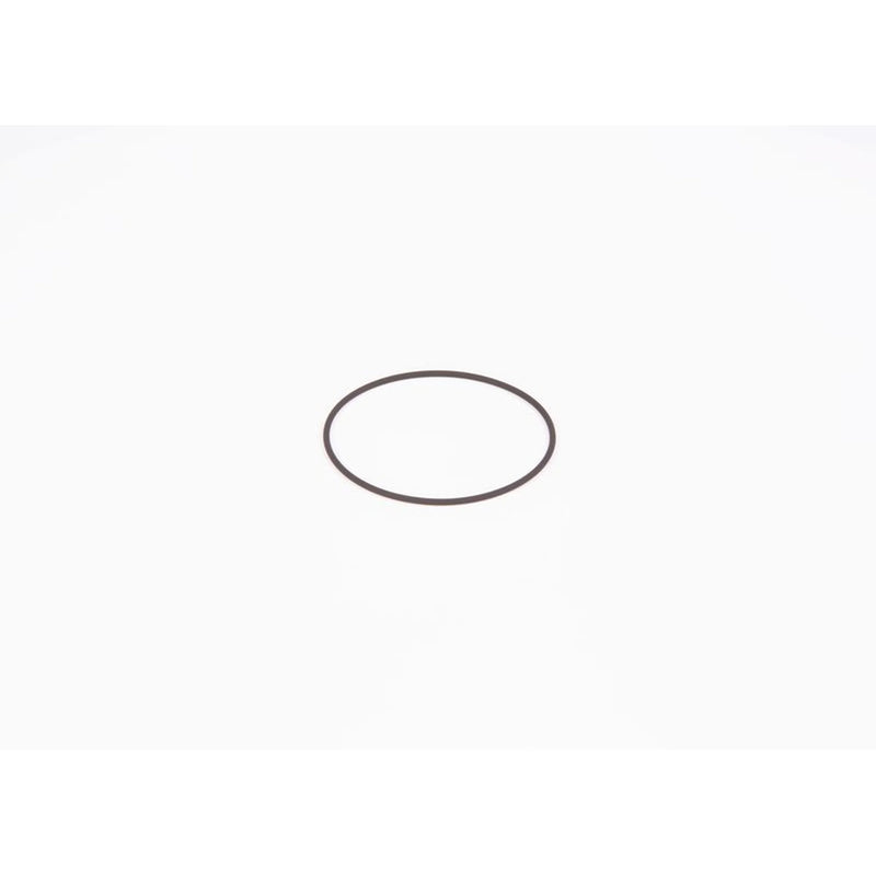 Bosch Sealing Ring Gasket F 01M 100 371