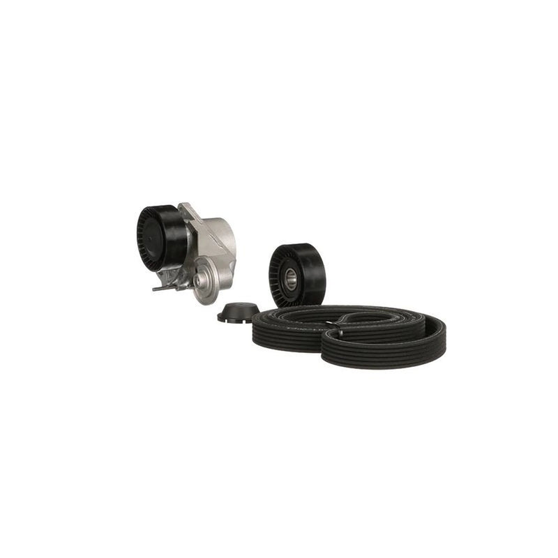 Gates V-Ribbed Belt Set K016DPK1838