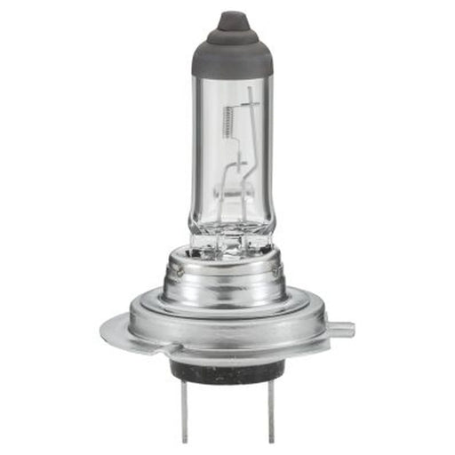 Hella Bulb Ece-R 37-H7-12V55Wstd 8GH 8GH 007 157-121