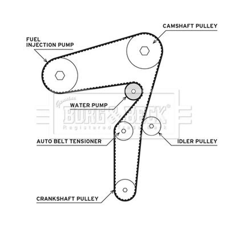 Borg & Beck Timing Belt & Water Pump Kit BTW1081