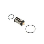 NRF Thermostat,Coolant 725445