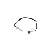NRF Exhaust Gas Temperature Sensor before soot partic 707064