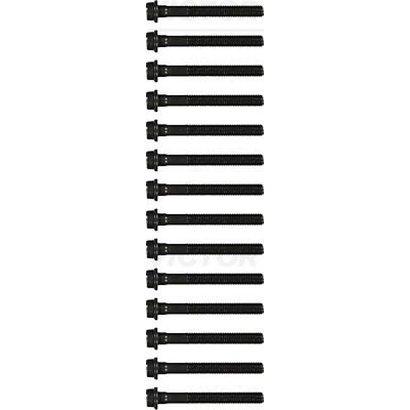 Victor Reinz Cylinder Head Bolt Set M12 14-32028-01