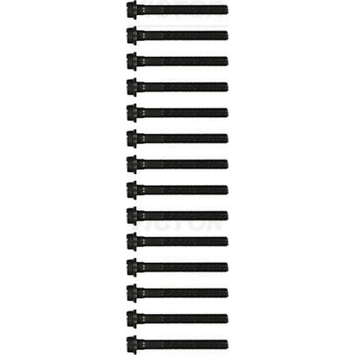 Victor Reinz Cylinder Head Bolt Set M12 14-32028-01