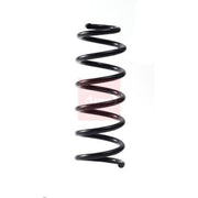 Apec Front Suspension Coil Spring ACS2251