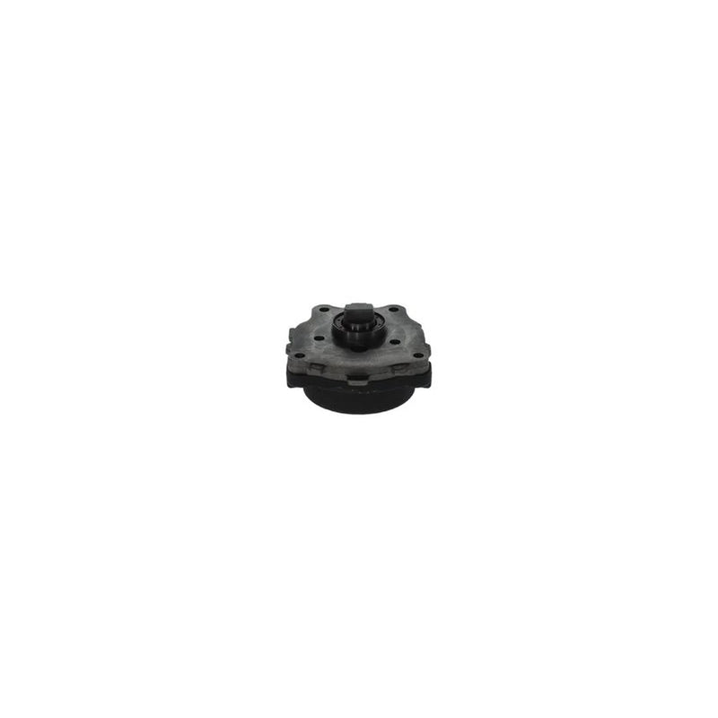 Bosch Fuel Pump Assembly 0 440 050 007