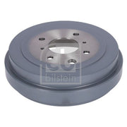 Febi Brake Drum Assembly Rear 198444