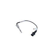 NRF Exhaust Gas Temperature Sensor before soot particu 707112