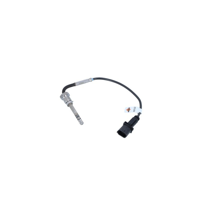 NRF Exhaust Gas Temperature Sensor before soot particu 707112